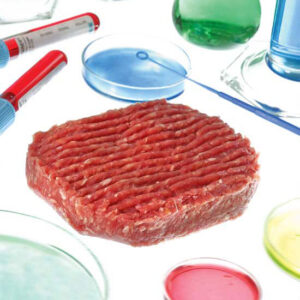The Future of Food Image